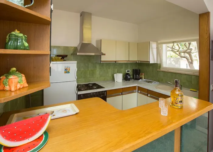 Apartment Damir