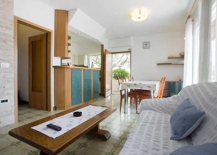 Apartment Damir